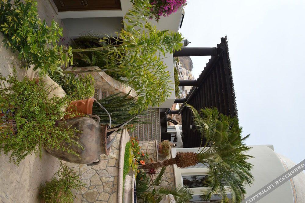 קאבו סן לוקאס Villa Las Flores מראה חיצוני תמונה