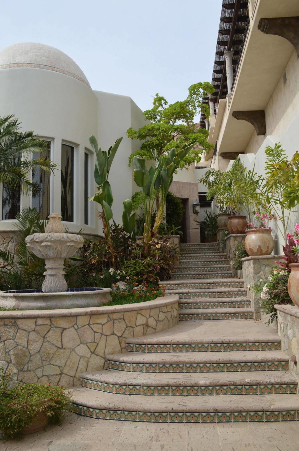 קאבו סן לוקאס Villa Las Flores מראה חיצוני תמונה